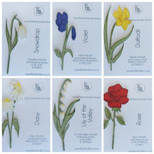 Birth Month Flower Gift x 5 Hand Painted Flowers Window Box