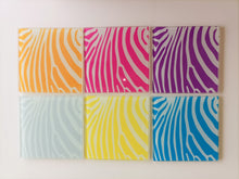 Colourful Zebra Print - Glass Coaster- set of 6