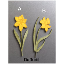 Daffodils Flowers Window Box - Fred And Bo