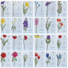 Teacher gift - Thank You For Helping Me Grow - Flower Window Box - 3 Flowers