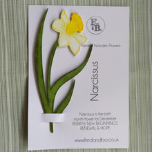 Laser Cut Wooden Narcissus - Flower - December
