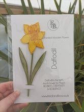 Daffodil Laser Cut Flower