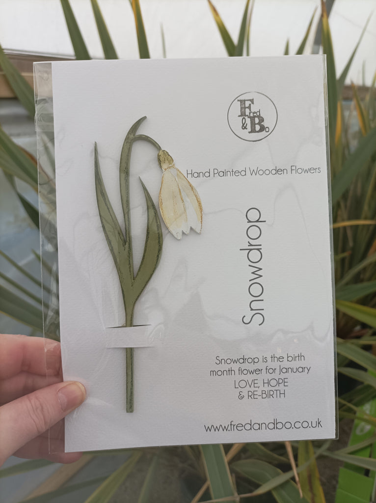Laser Cut Wooden Snowdrop - Flower - January – Fred And Bo