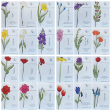 Mix & Match Flowers Window Box