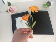 Laser Cut Wooden Marigold- Flower - October