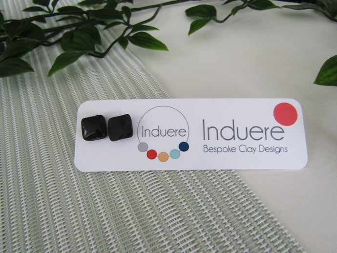 Induere - Polymer Clay Earring | studs 2I