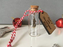 Mini Message Bottle- 1st Christmas- Christmas Tree Ornament - Fred And Bo