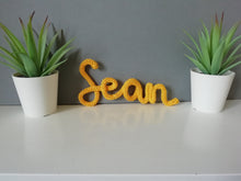 Personalised Name Knitted Wire Word Handwritten Wall Art - Fred And Bo