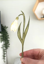 Laser Cut Wooden Snowdrop - Flower In A Test Tube - January