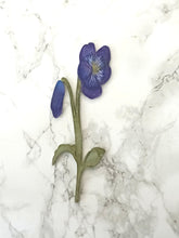 Laser Cut Wooden Violet - Flower In A Test Tube