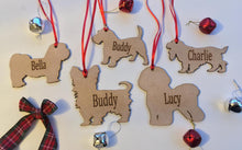 Personalised Dog Decoration - Dachshund long hair - Fred And Bo