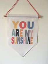 Hanging Banner Flag- You Are My Sunshine - Fred And Bo