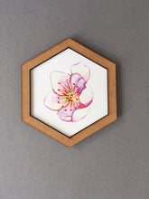 Hexagon wall art tile- cherry blossom 1 - Fred And Bo