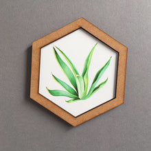 Hexagon wall art tile- Tillandsia Air plant - Fred And Bo