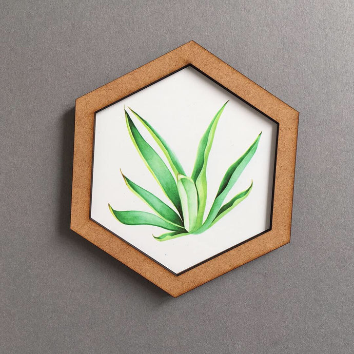 Hexagon wall art tile- Tillandsia Air plant - Fred And Bo