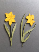 Daffodil Laser Cut Flower - Fred And Bo