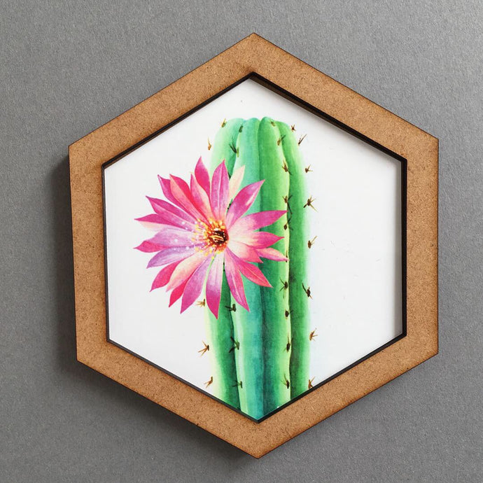 Hexagon wall art tile- cactus flower - Fred And Bo
