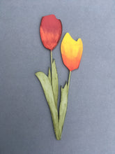 Tulips Laser Cut Flower - Fred And Bo