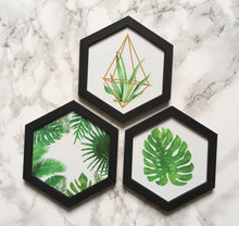 Hexagon wall art tile- Tillandsia Air plant - Fred And Bo