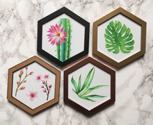 Hexagon wall art tile- Tillandsia Air plant - Fred And Bo